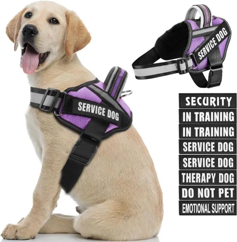 Vista 19 de Juego de arnés y parches para chaleco de perro, arnés de perro de servicio en entrenamiento Animire con 10 parches para perros, chaleco reflectante
