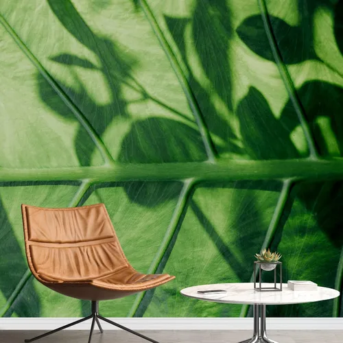 Vista 14 de wall26 serie Wall Mural Papel de empapelar autoadhesivo, grande., WMR-WP-X-D986-66x24x4