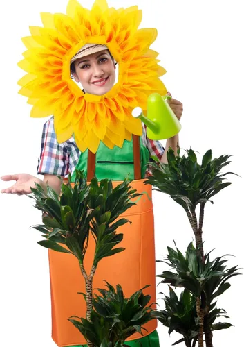 Vista 6 de Hicarer Juego de 2 piezas de disfraz de flores en maceta para adultos, incluye maceta, disfraz de maceta, disfraz de girasol, sombrero de girasol