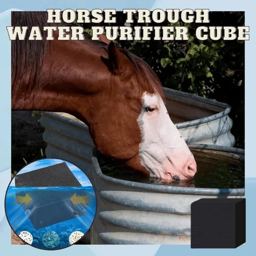 Vista 4 de Cubo purificador de canal de agua, filtros de peces, absorción para acuario, estanques, pecera, tanque de agua, purificación de agua (3 piezas)