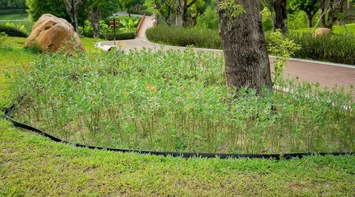 Vista 9 de Kit de bordes de paisaje, bordes de jardín de 30 pies y 2 pulgadas de alto con 27 estacas de borde, bordes de goma para paisajismo, cama de flores