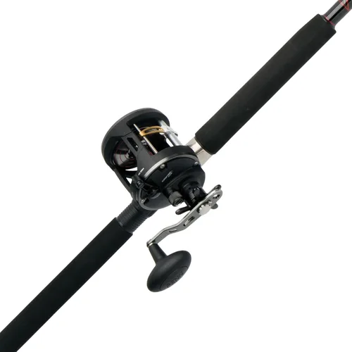 Vista 9 de Penn Warfare Level Wind Fishing Rod and Reel Conventional Combo
