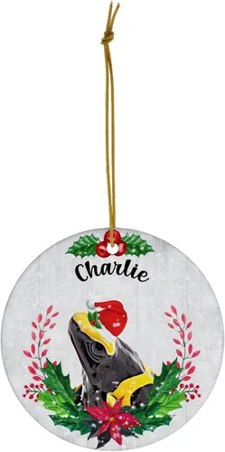 Vista 2 de Green Holly Sombrero de Papá Noel Bumblebee Dart Frog Nombre Personalizado Adornos de Navidad 2023 Círculo Blanco Cerámica Dueño de Mascotas Regalos