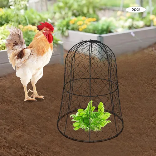 Vista 4 de Paquete de 5 Cloches de alambre de pollo para jardín, 12.99 pulgadas de profundidad x 15.75 pulgadas de alto, protectores y cubiertas de plantas