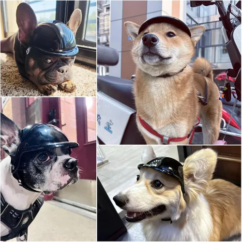 Vista 2 de Namsan - Cascos de perro para perros pequeños, casco para perros pequeños con orificios para las orejas, cascos de seguridad para cachorros