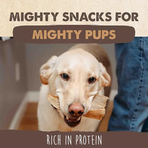 Vista 5 de Mighty Paw Orejas de vaca 100% naturales sin blanquear para perros, un solo ingrediente, orejas de vaca para perros, golosinas masticables adecuadas