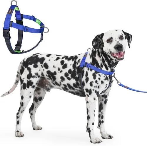 Vista 8 de Freedom - Arnés para perro sin tirones, fácil de caminar, deja de tirar con dos anillos en D de acero inoxidable, cómodo, etiquetas de instrucciones