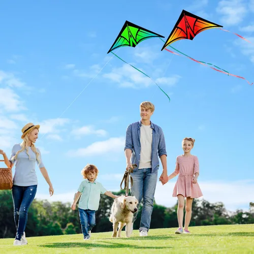 Vista 6 de Cometa Delta grande para niños y adultos, cometas al aire libre fáciles de volar para niños de 8 a 10 años, perfecta para actividades en la playa