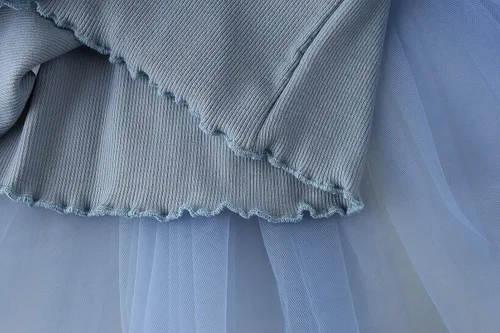 Vista 5 de BTGIXSF - Vestido tipo tutú para niña vestido sin mangasmanga larga para niña vestido de verano de tul para niña