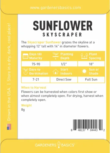 Vista 2 de Semillas de girasol gigantes para plantar flores: (rascacielos) es una variedad de flores solares de polinización abierta, sin OMG, semillas