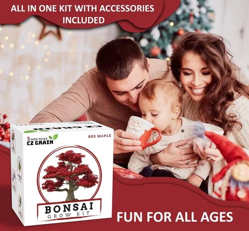 Vista 4 de Kit de árbol bonsái – Cultiva 5 especies de árbol bonsái con nuestro kit de plantas todo en uno: macetas de bonsái y pellets de turba, incluyendo un