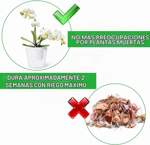 Vista 5 de MNKNENG Paquete de 12 macetas de riego automático para plantas de interior de 4.3 pulgadas, macetas pequeñas de riego automático con indicador