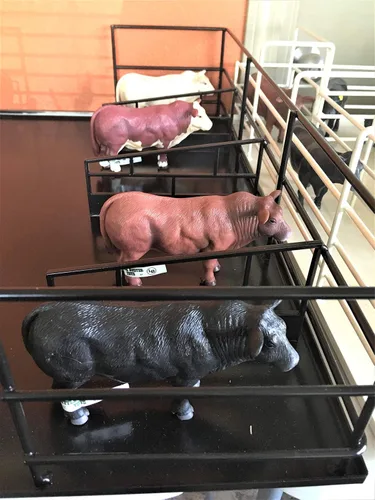 Vista 4 de Little Buster Toys Angus Bull Figura de ganado Angus negro a escala 1:16 Exhibición realista de granja y rancho Regalo de coleccionista listo