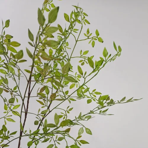 Vista 9 de Nandina Domestica - 3 racimos de hojas artificiales de plantas artificiales, ramas de vegetación sintética, ramas de plantas de plástico, ramas