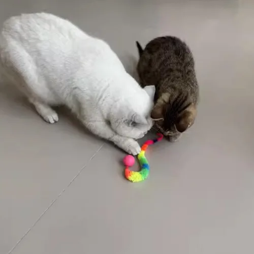 Vista 5 de Paquete de 5 bolas interactivas para gatos con gusano arcoíris para gatos