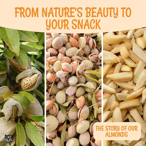 Vista 6 de Oh! Nuts Almendras blanqueadas plateadas – crudas – 100% naturales – 1.5 libras – Palitos de almendras blancas – Empaquetados en bolsa con cierre