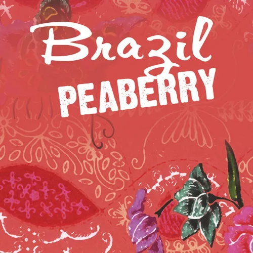 Vista 3 de Aroma Ridge Granos de café de Brasil, café brasileño en grano entero, granos de café recién tostados Peaberry, 16 onzas