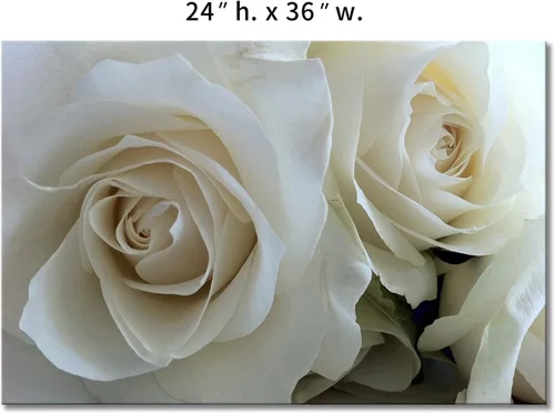 Vista 7 de First Wall Art - Enormes rosas en blanco puro arte de la pared pintura imágenes impresas en lienzo flor la imagen para decoración moderna del hogar