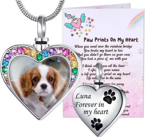 Vista 34 de Fanery Sue Collar personalizado para cenizas de mascotas para perros y gatos, foto y texto personalizados, regalo de condolencia, regalo