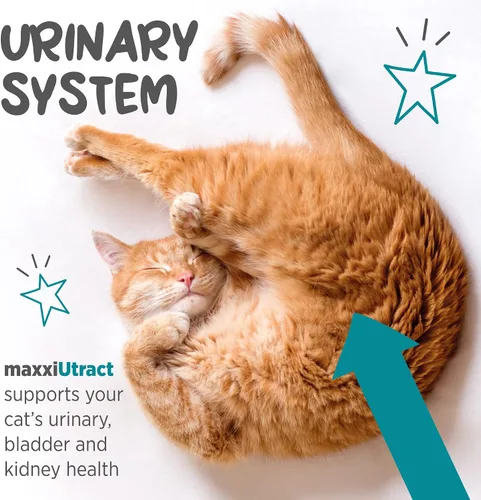 Vista 4 de maxxipaws maxxiUtract Polvo urinario y de vejiga para gatos, D-Manosa, 3.2 oz