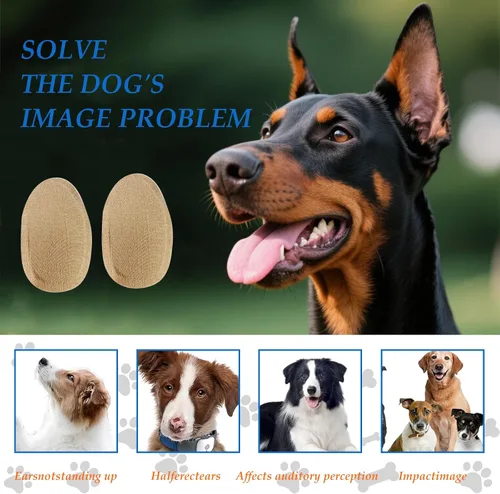 Vista 2 de 4 juegos de herramientas de soporte para orejas de perro, kit de publicación de orejas Doberman, herramienta de soporte de orejas de perro mediano a