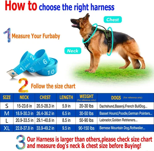 Vista 8 de Arnés para perro con luz LED para caminar de forma segura por la noche, chaleco de malla suave que brilla en la oscuridad, chaleco para perros