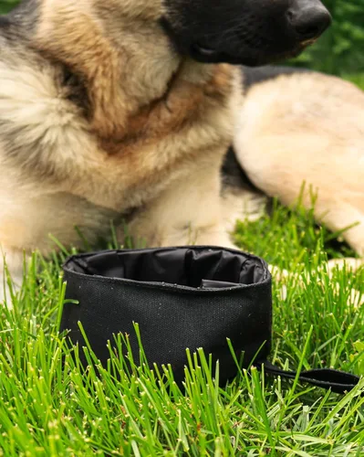 Vista 4 de CALDO Cuenco plegable para perros, perfecto para alimentos y agua sobre la marcha (negro)