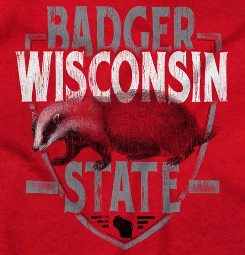 Vista 2 de Brisco Brands Wisconsin Badger Estatal Equipo Estudiante Uniforme Manga Larga Camiseta Hombres Mujeres