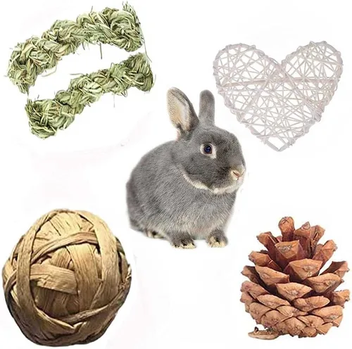 Vista 4 de Juego de juguetes masticables de hámsteres de conejo, tapete de cama tejido de paja y diente de conejo para mascotas, pastel de hierba de madera