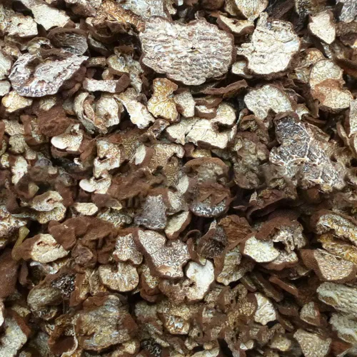 Vista 3 de 100% trufa negra orgánica silvestre, hongo de trufa, trufa, trufa negra, trufa de perigordo, trufa negra, trufa negra, melanosporo tubérculo, trufa