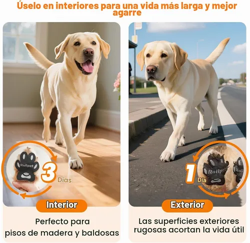 Vista 6 de Almohadillas para patas de perro para perros mayores para evitar