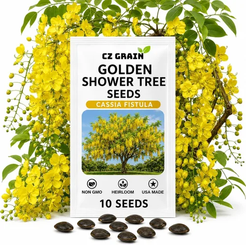Vista 10 de CZ GRAIN Semillas de árboles exóticos para plantar (Baobab - 5 semillas)