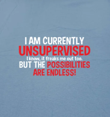 Vista 2 de Camisa divertida con texto sarcástico en inglés Currently Unsupervised