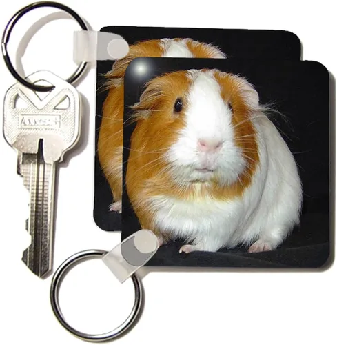 Vista 3 de 3dRose - Guinea Pig - Juego de 2 llaveros kc_1061