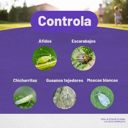 Vista 3 de Bonide Products 857 - Líquido para rociar para jardín Pyrethrin, 8 oz.