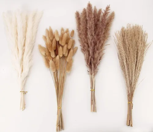 Vista 18 de 10 tallos de hierba de las pampas de 40 pulgadas de alto en color beige natural, añade un toque bohemio a tu espacio: hierba de las pampas ideal