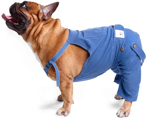 Vista 4 de iChoue Lindos pañales para perro con tirantes para bulldog francés, pug francés, bulldog inglés, hembra, en ciclo de calor, azul, pequeño con 1 pañal