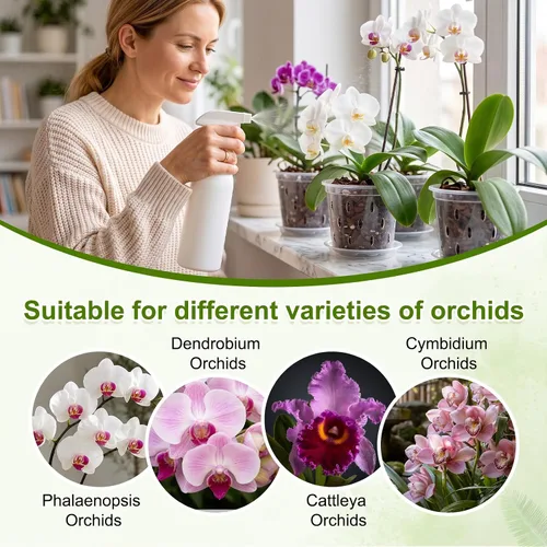 Vista 6 de METALLIXITY Macetas transparentes de orquídeas de 3 pulgadas con agujeros