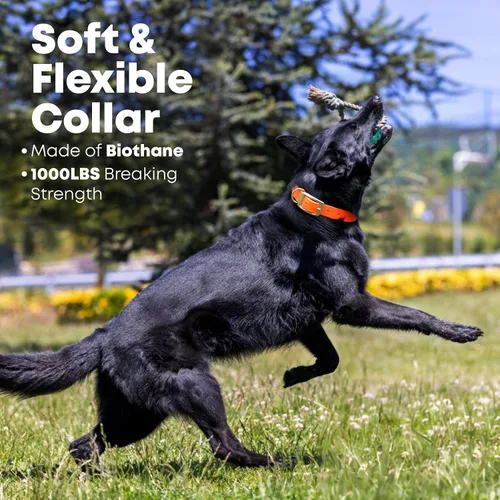 Vista 5 de Regal Dog Products Collar de Perro Naranja Mediano con Placa de Nombre Grabada Personalizada - Ajuste Personalizado, Resistente, Fácil de Limpiar