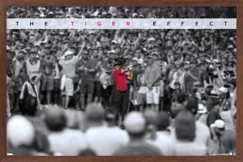 Vista 10 de Trends International Tiger Woods - Póster de pared con efecto tigre, 14.725 x 22.375 pulgadas, versión enmarcada de madera de granero Versión