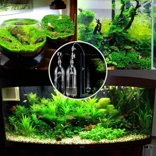 Vista 6 de Sistema de plantas para acuario CO2 hágalo usted mismo