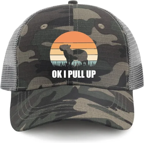 Vista 9 de devor Caps Ok I Pull Up Dad Hats, Graphic Dad Hat for Men