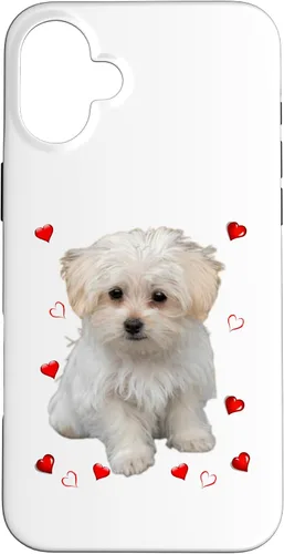 Vista 22 de Funda para iPhone 11 Maltipoo Mix Fans para amantes de los perros maltés