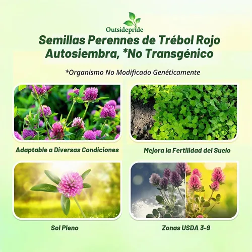 Vista 3 de Outsidepride - Semilla de leguminosa de trébol rojo para pasto, heno y mejora del suelo, 1/4 lb