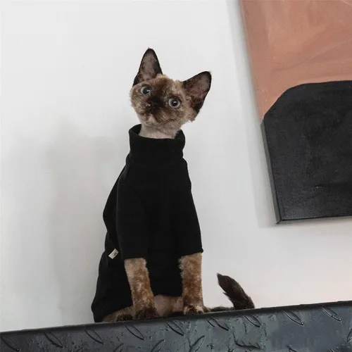 Vista 2 de Ropa de gatos sin pelo, camiseta de algodón, chaleco transpirable para primavera y otoño, ropa de gato con cuello alto para Sphynx, Cornish Rex