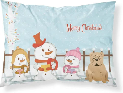 Vista 150 de Caroline's Treasures BB2515PILLOWCASE Between Friends Appenzeller Sennenhund - Funda de almohada de tela estándar, ligera, súper suave, fácil