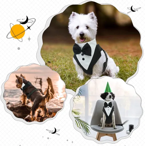 Vista 7 de Arnés de esmoquin para perro, arnés de esmoquin para perro sin tirones con correa, disfraz de traje de boda ajustable con pajarita para perros