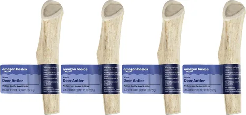 Vista 9 de Marca Amazon – Cuerno de ciervo Wag masticable para perros, mudado naturalmente, entero, mediano de 6 a 7.5 pulgadas, de larga duración