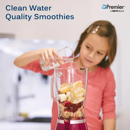 Vista 5 de Watts Premier Kit anual de filtración RO Pure de 36 unidades para sistema de ósmosis inversa Zero/Pure Plus, reemplazo del filtro de agua con botón
