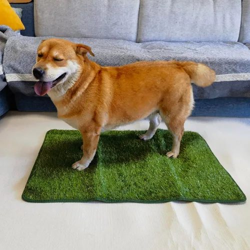 Vista 6 de Dewonch Almohadilla de césped artificial para entrenamiento de orinal de perro, 22 x 34 pulgadas (césped de reemplazo)